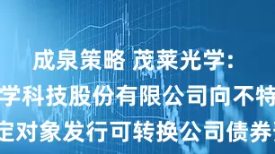 成泉策略 茂莱光学: 南京茂莱光学科技股份有限公司向不特定对象发行可转换公司债券预案（修订稿）