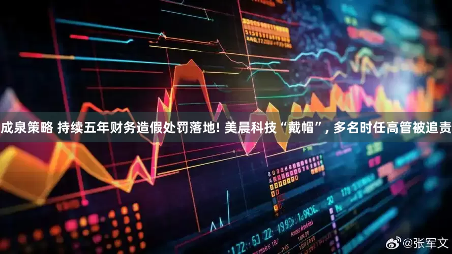 成泉策略 持续五年财务造假处罚落地! 美晨科技“戴帽”, 多名时任高管被追责